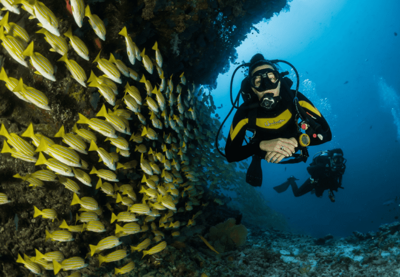 Is Scuba Diving In Goa Recommended